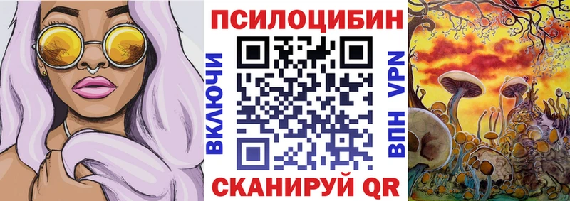 Галлюциногенные грибы мицелий  купить  цена  Зверево 